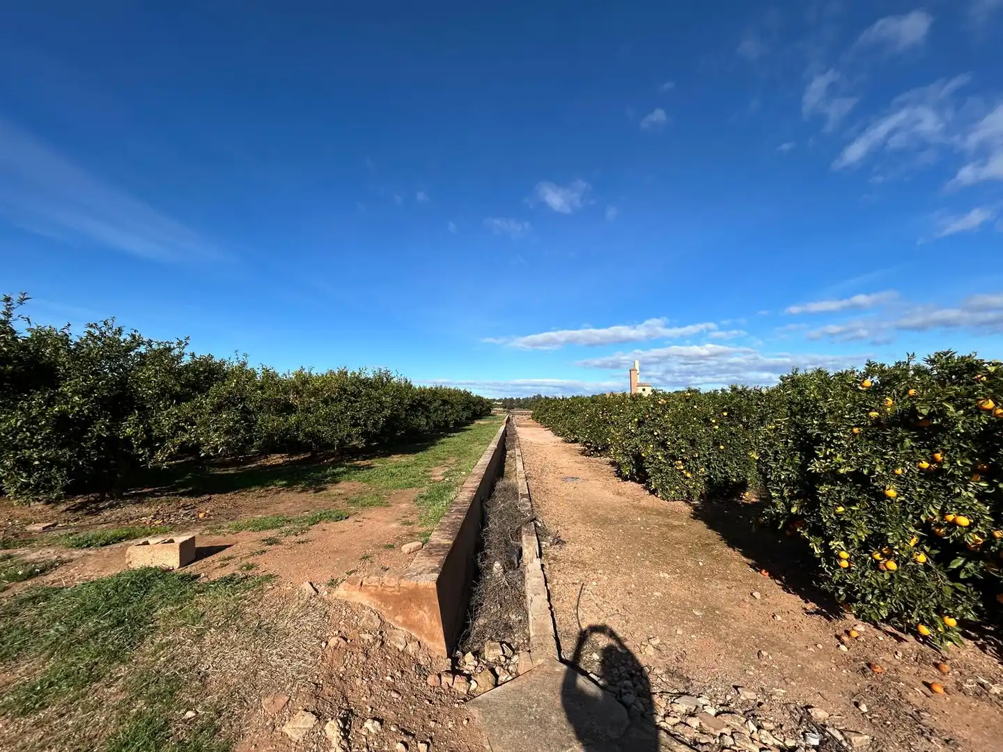 Rural land for sale in La Conarda - Montesano, imagen 2