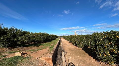 Foto 2 de Terreno en venta en La Conarda - Montesano, Bétera
