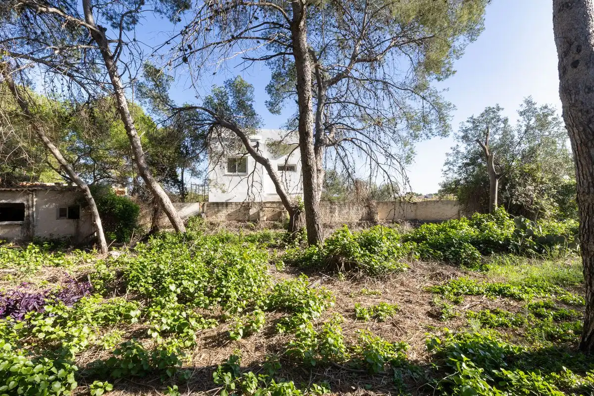 Terreno residenziale in vendita a Cami Ermita Nova, imagen 8