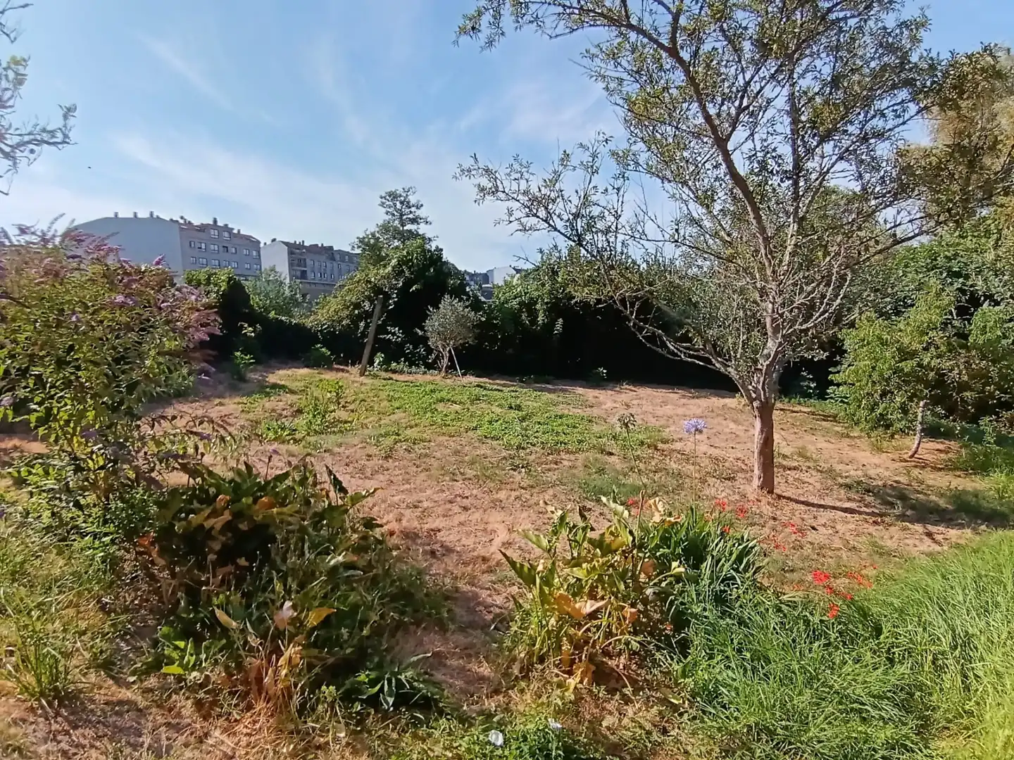 Haus mit Garten zum Verkauf in Avenida Médico Ballina, imagen 4