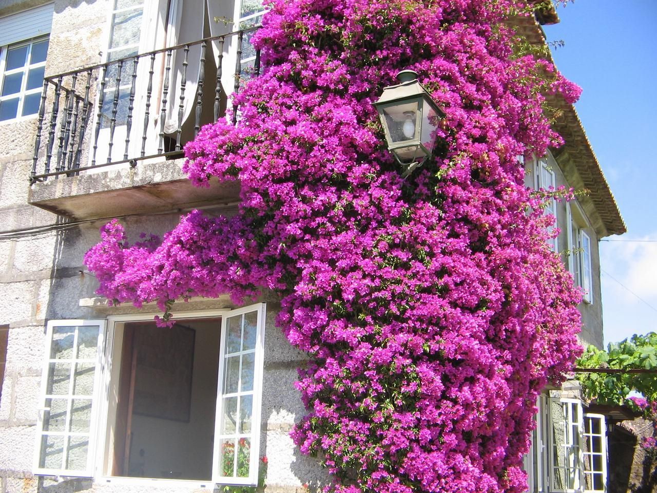 Exterior view of House or chalet for sale in Vigo   with Heating, Private garden and Terrace