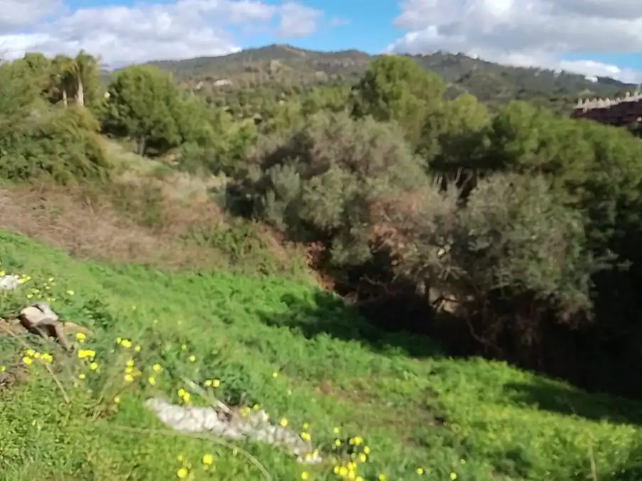 Terreni e lotti in vendita a Paseo del Golf 4
