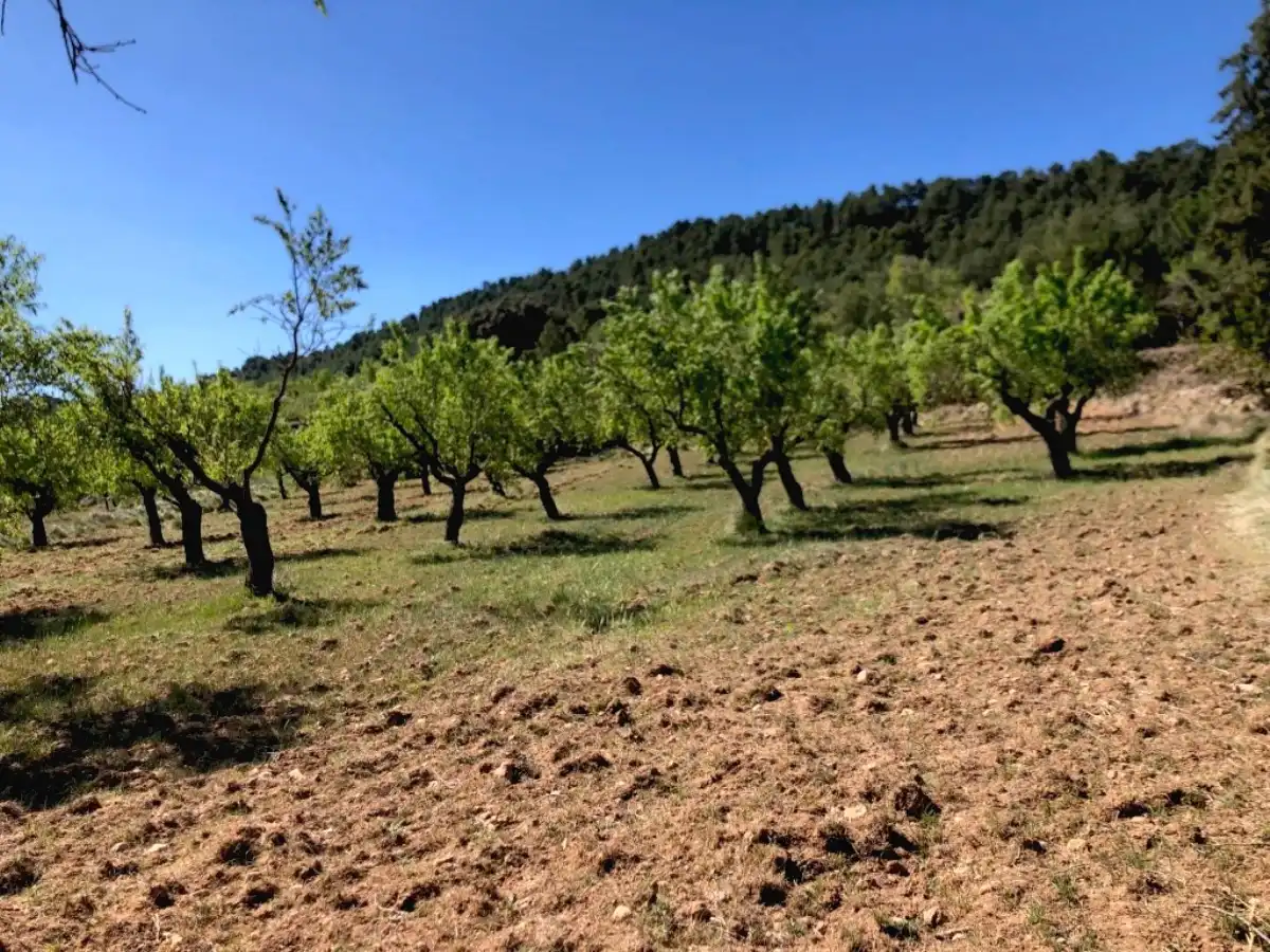 Terreno en venta en La Cañada de Verich