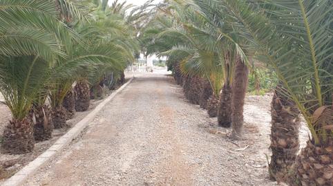 Foto 4 de Casa o xalet en venda a Carretera Virgen del Camino, 5, Granja de Rocamora, Alicante