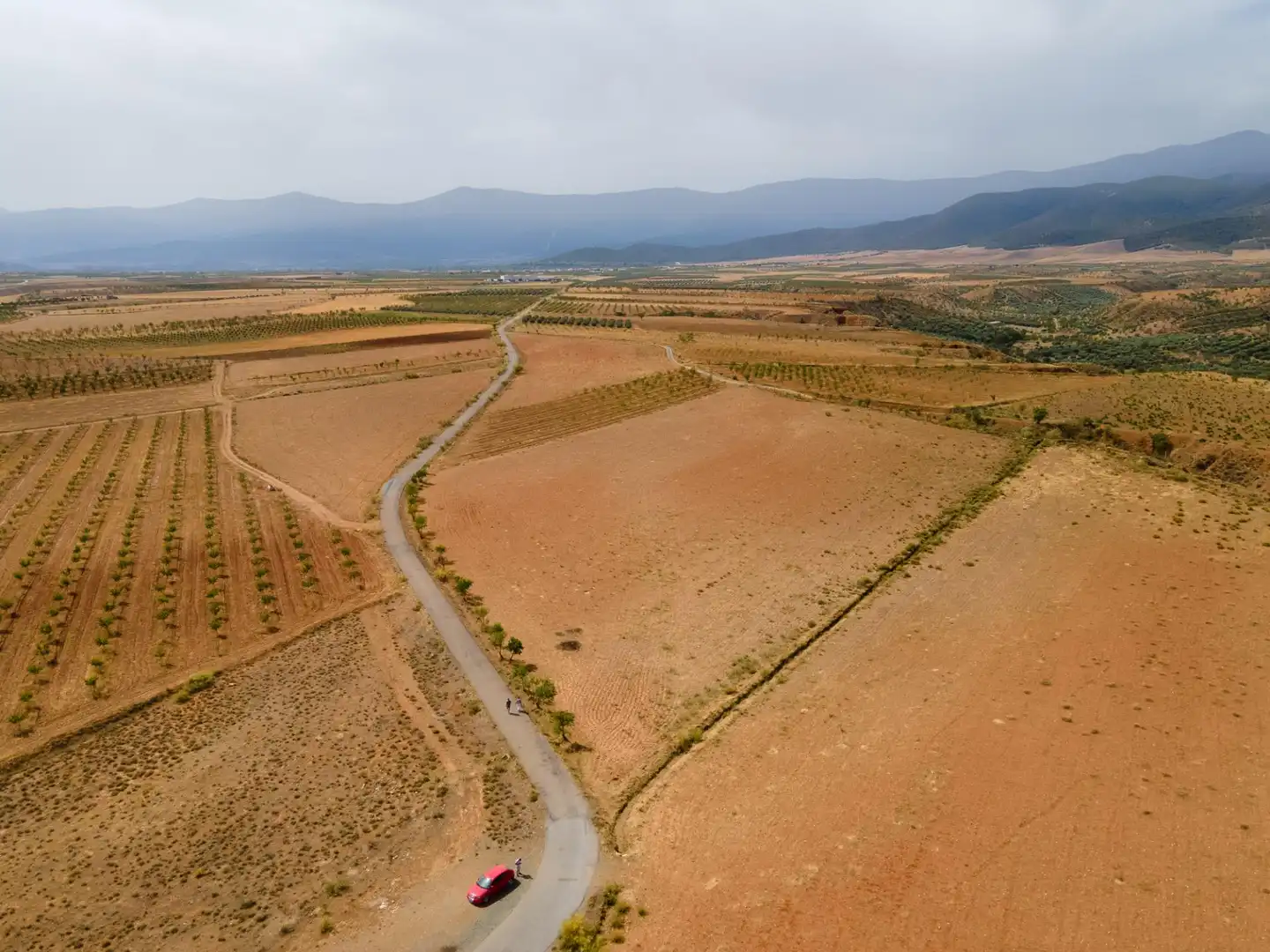 Terreno en venta en Cogollos de Guadix