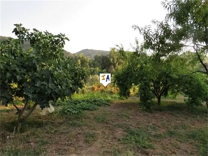 Casa rústica en venda a Fuensanta de Martos, imagen 16