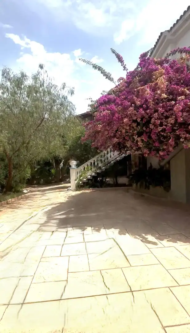 Chalet con terraza en venta en 317, imagen 62