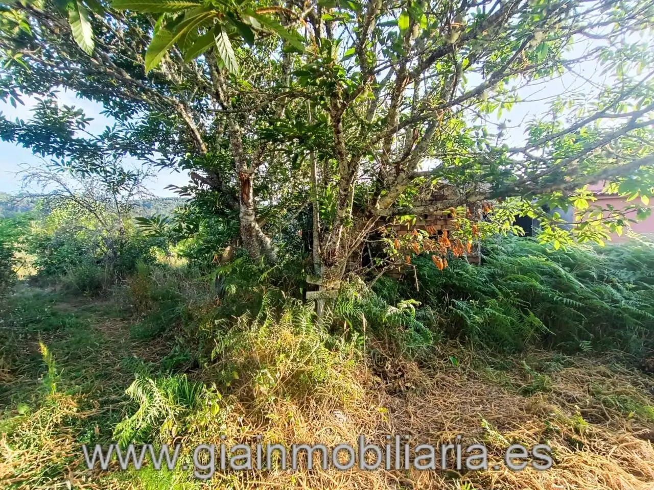 Casa en venta en Calle Ceo, imagen 3