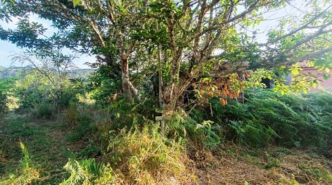 Finca con casa en venta Mondariz, imatge 3