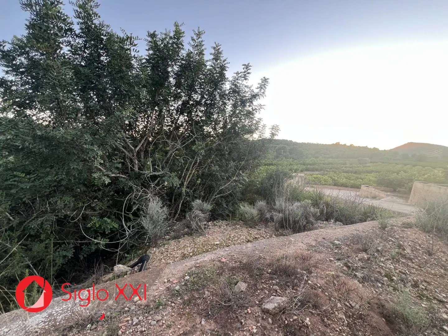 Terreni e lotti in vendita a La Vall d'Uixó, imagen 13