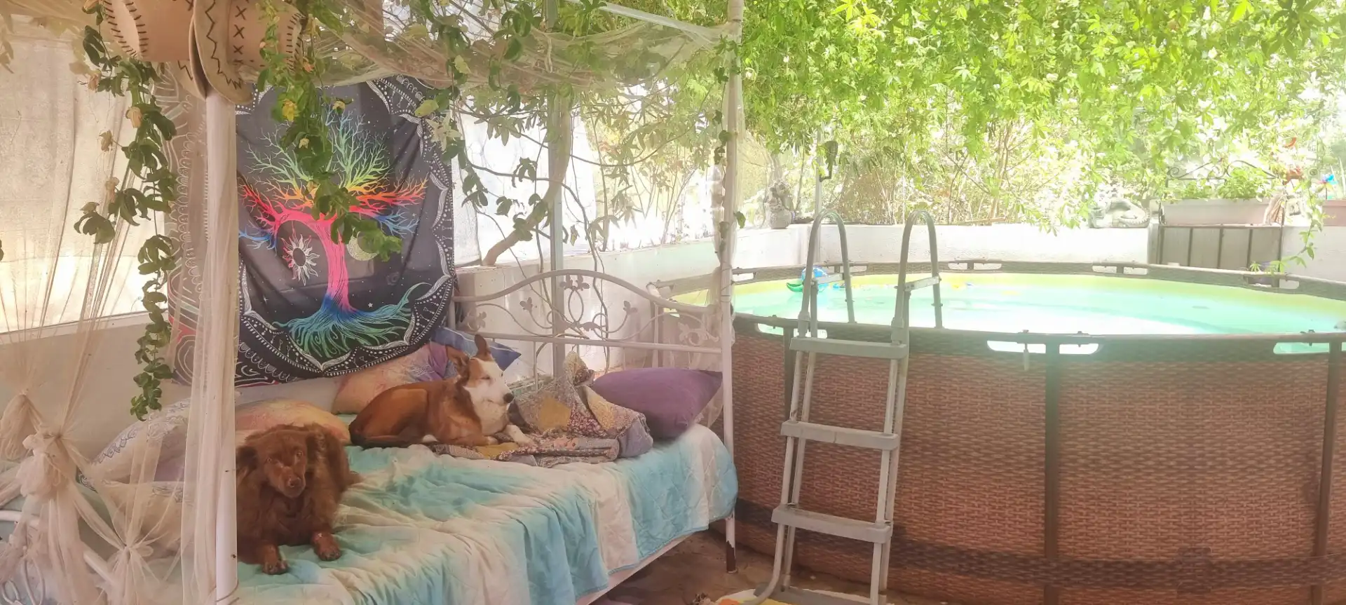 Jardín de Finca rústica en venta en Vinaròs con Aire acondicionado, Jardín privado y Terraza