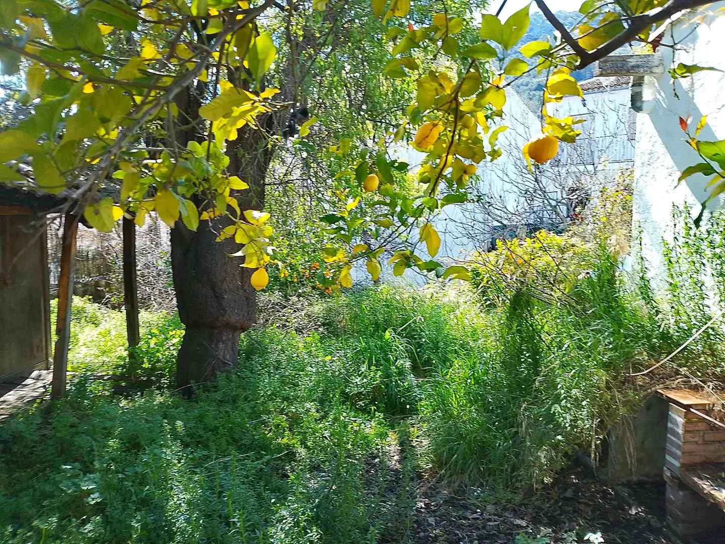 Residential for sale in Grazalema