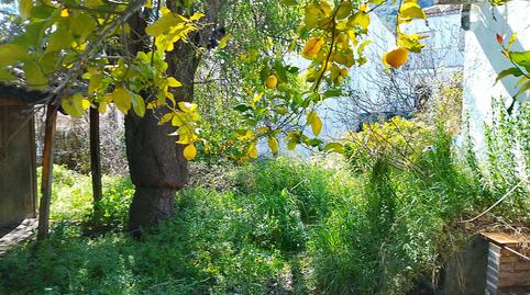 Foto 2 de Residencial en venta en Plaza Plaza de la Asamblea, Grazalema, Cádiz