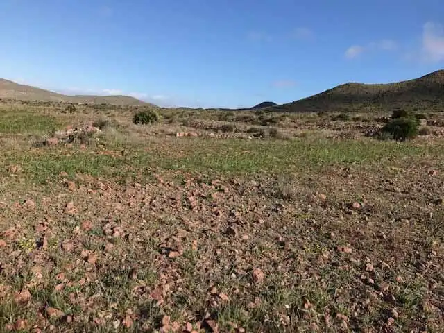 Terrain rustique à vendre à Níjar pueblo