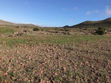 Terreny rústic en venda a Níjar pueblo