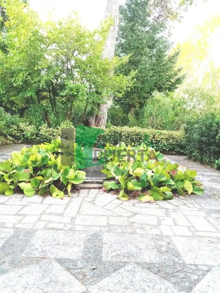 Chalet con jardín en venta en O Carballiño, imagen 14
