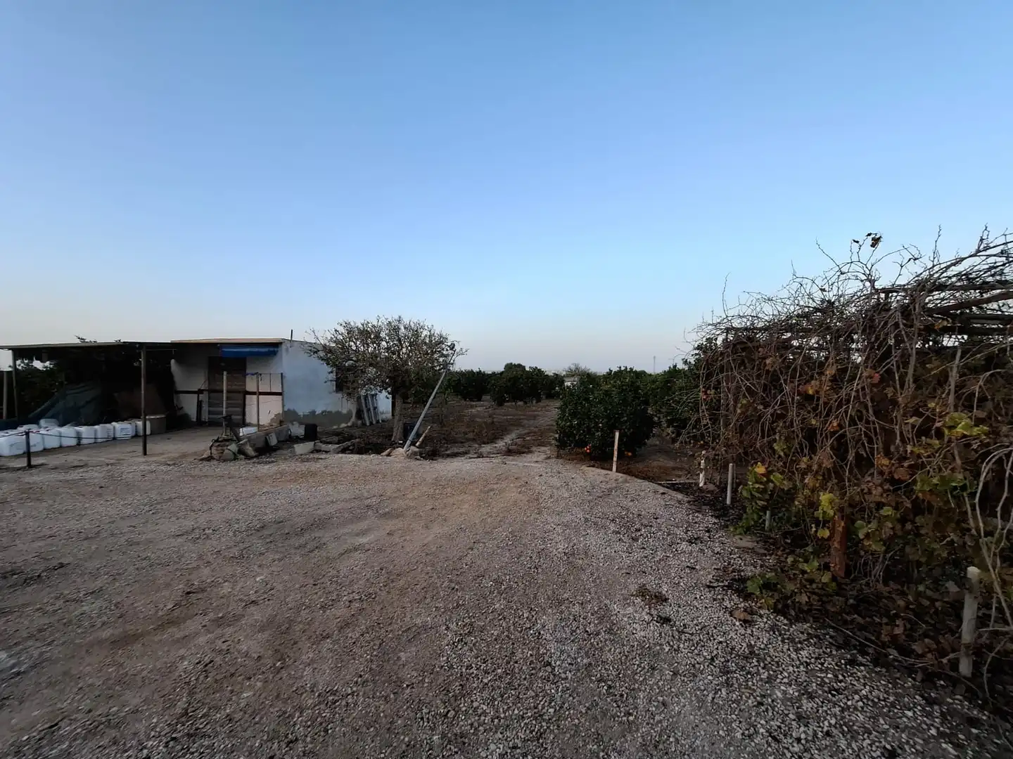 Terreno rústico en venta en Puerto Deportivo, imagen 10