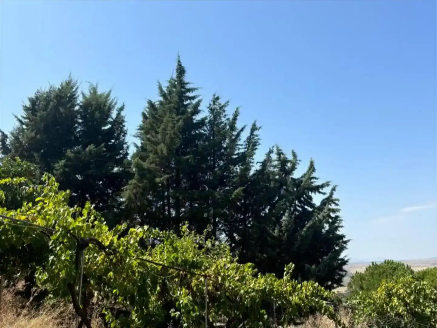 Finca rústica en venda en Madroñera amb Jardí privat, Piscina i Moblat