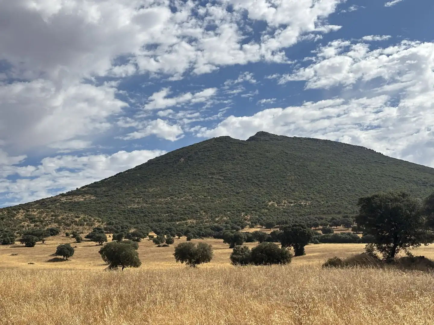 Country homes for sale in Orgaz