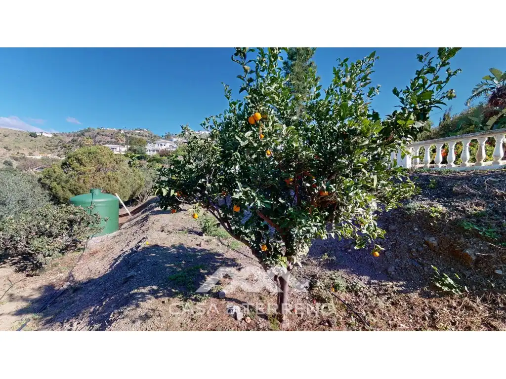 Vista exterior de Casa o chalet en venta en Algarrobo con Aire acondicionado, Jardín privado y Terraza