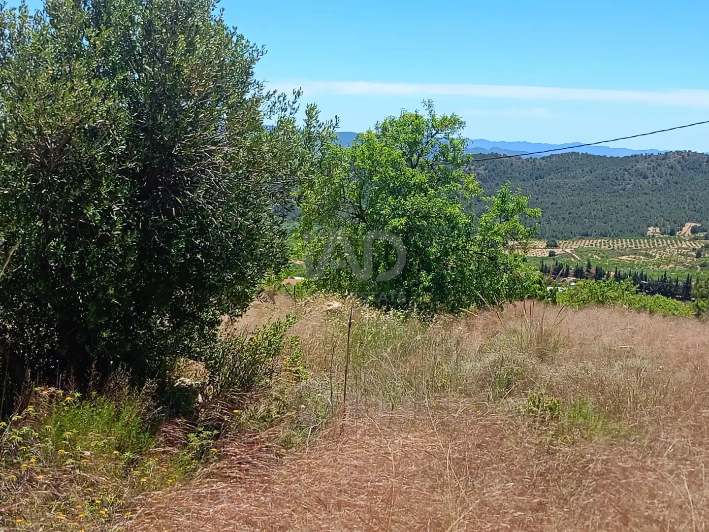 Terreno en venta en Lorca