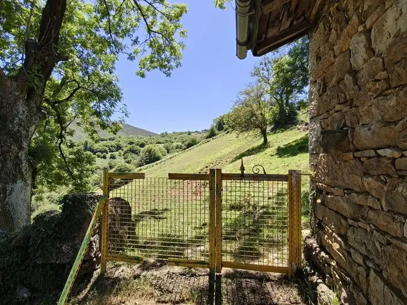 Terreno rustico in vendita a Proaza, imagen 34