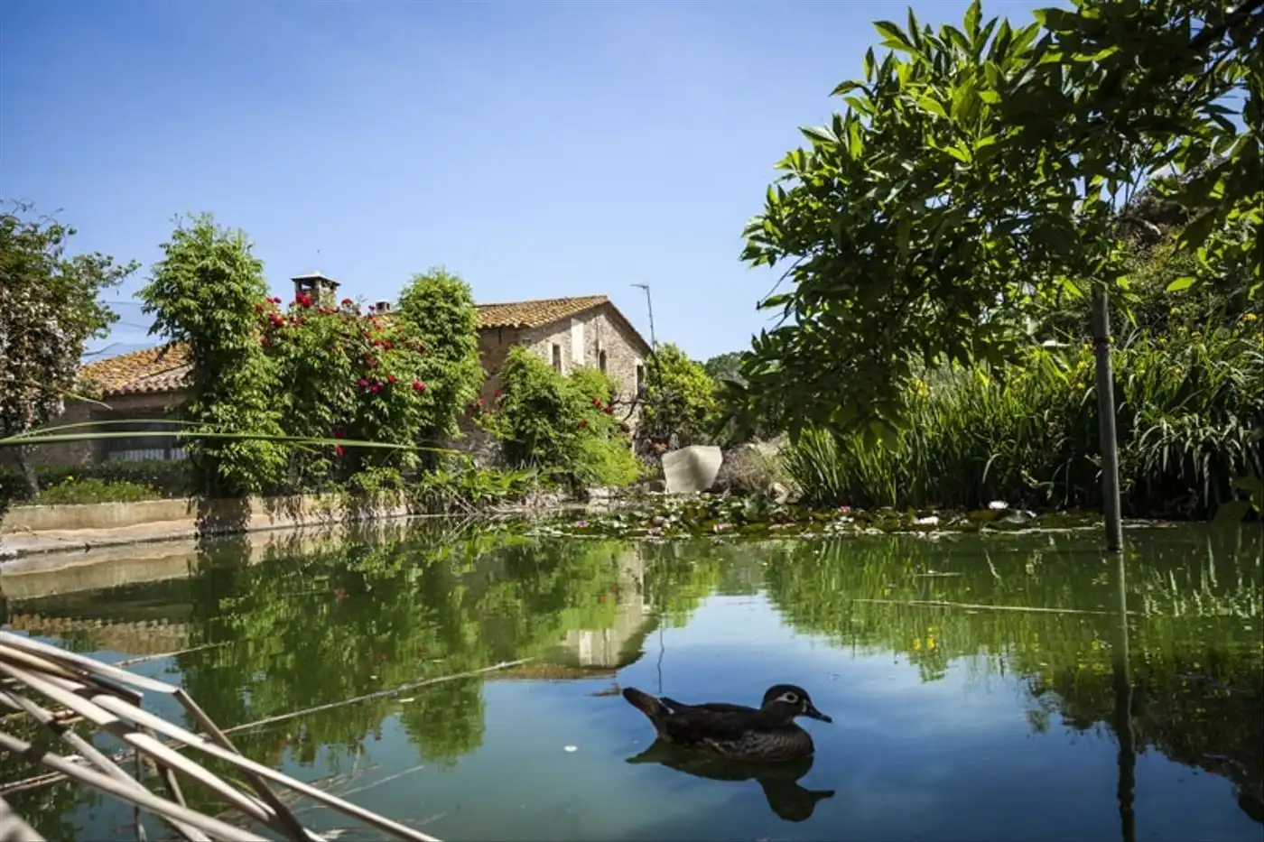 Casa o chalet en venta en Carrer Fora Muralla-pubol, 9, La Pera