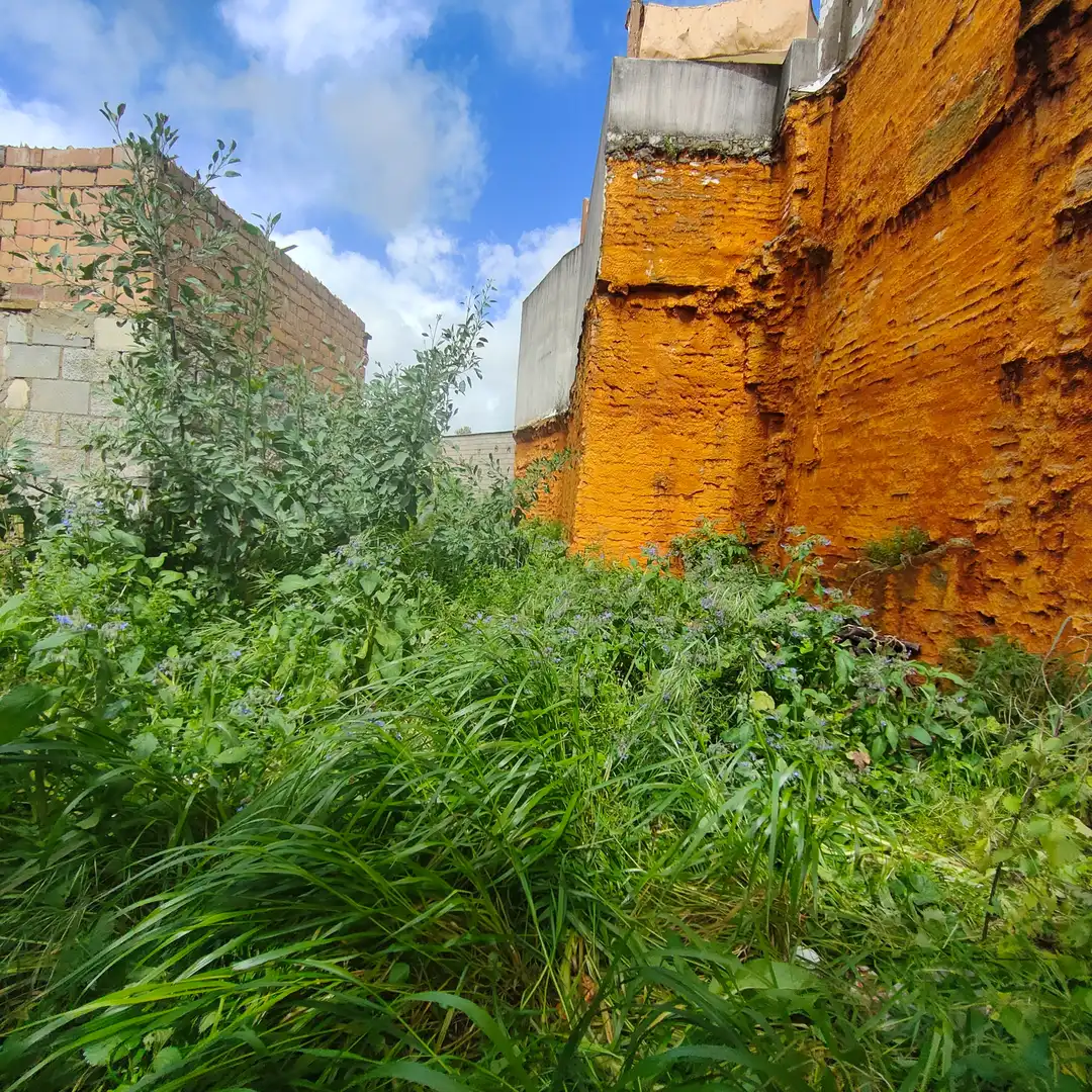 Jardí de Residencial en venda en Sanlúcar la Mayor