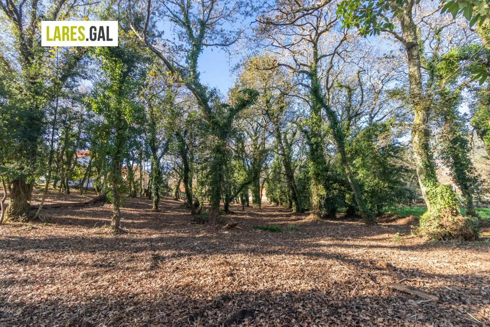 Lands and plots for sale in Rúa Ximeu, imagen 20