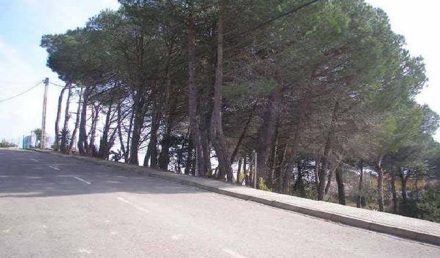 Terreno residencial en Venta en Avet,urb. Can Fornaca Poligono 15, 38 en Riudarenes