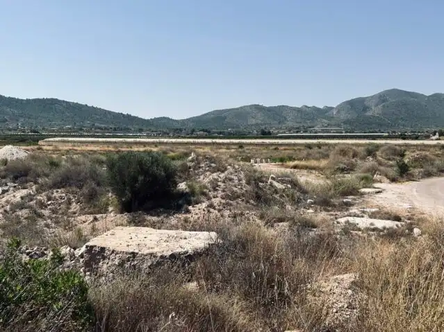 Terreny rústic en venda a La Romana