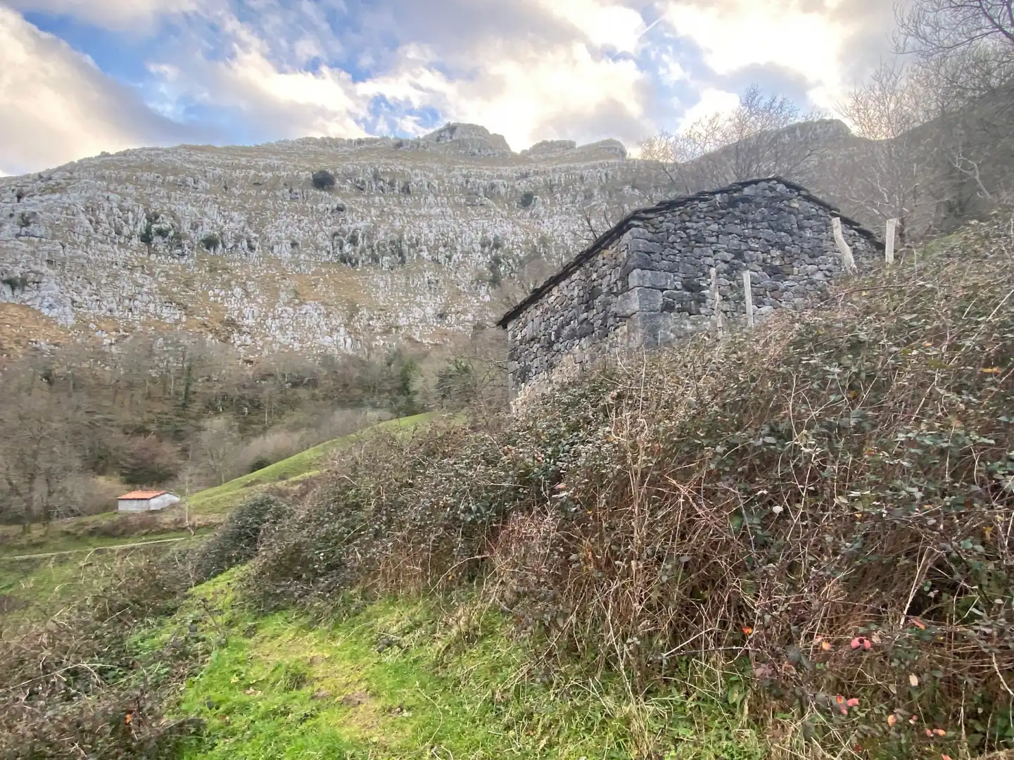 Land for sale in Miera - Barrio Mortesante, 2, Miera