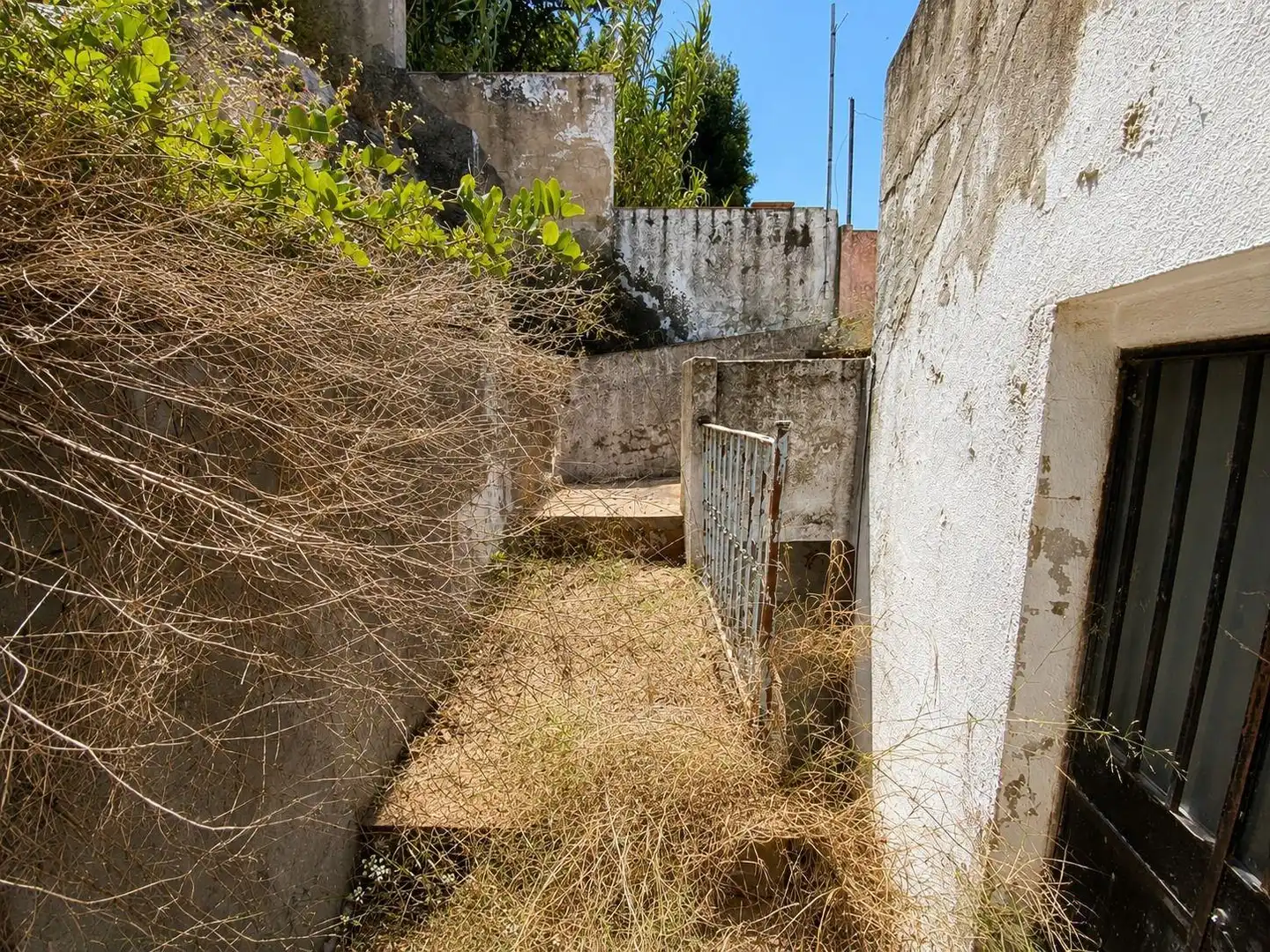 Finca rústica en venda en Alcalá de los Gazules amb Terrassa