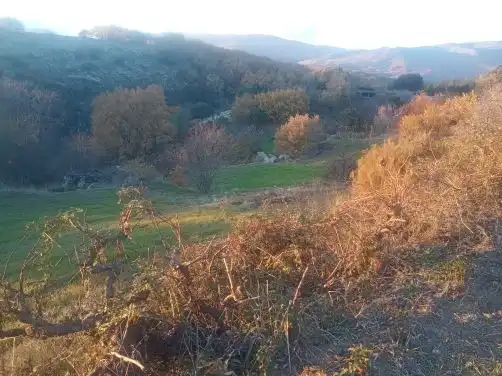 Terreni e lotti in vendita a Jarandilla de la Vera, imagen 11