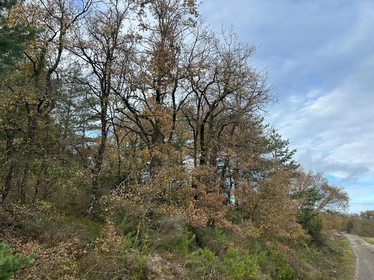 Land for sale in Kuartango