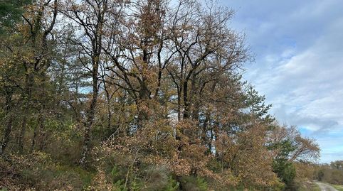 Foto 4 de Terreny en venda a Barrio de Aprikano, Kuartango, Araba - Álava