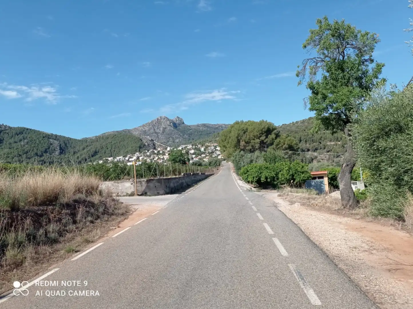 Residential land for sale in Tormos, imagen 10