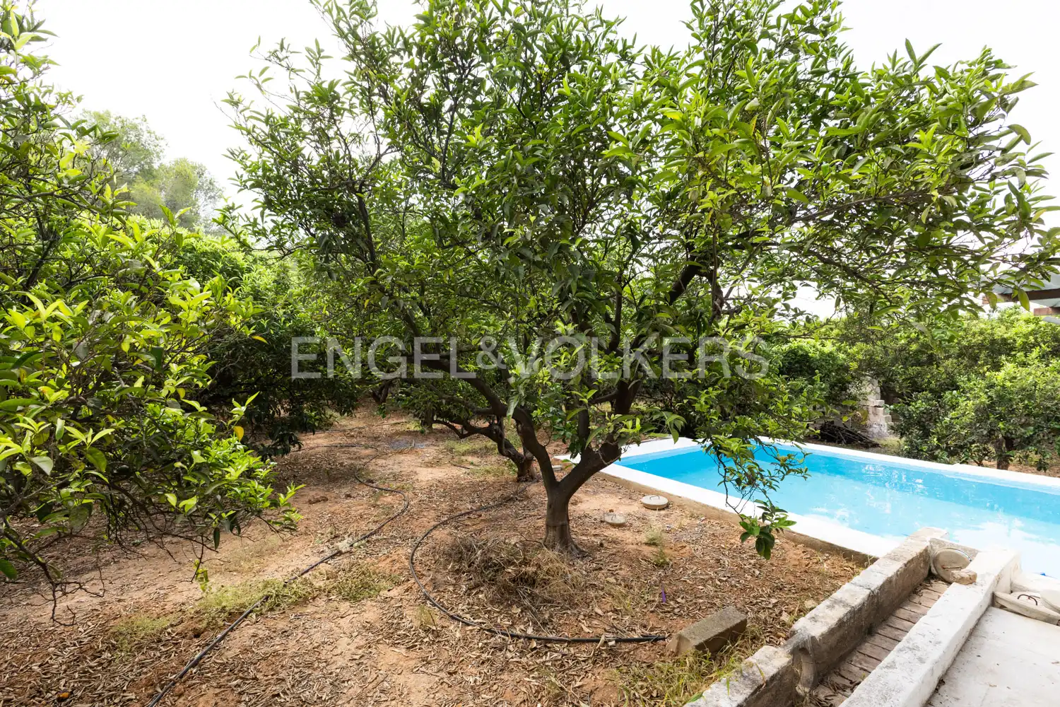 Casa o chalet en venta en Alzira con Calefacción y Trastero