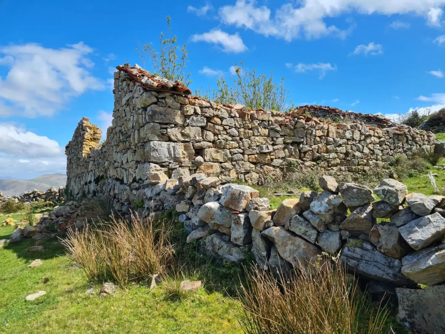 Vista exterior de Casa o xalet en venda en Rionansa amb Jardí privat