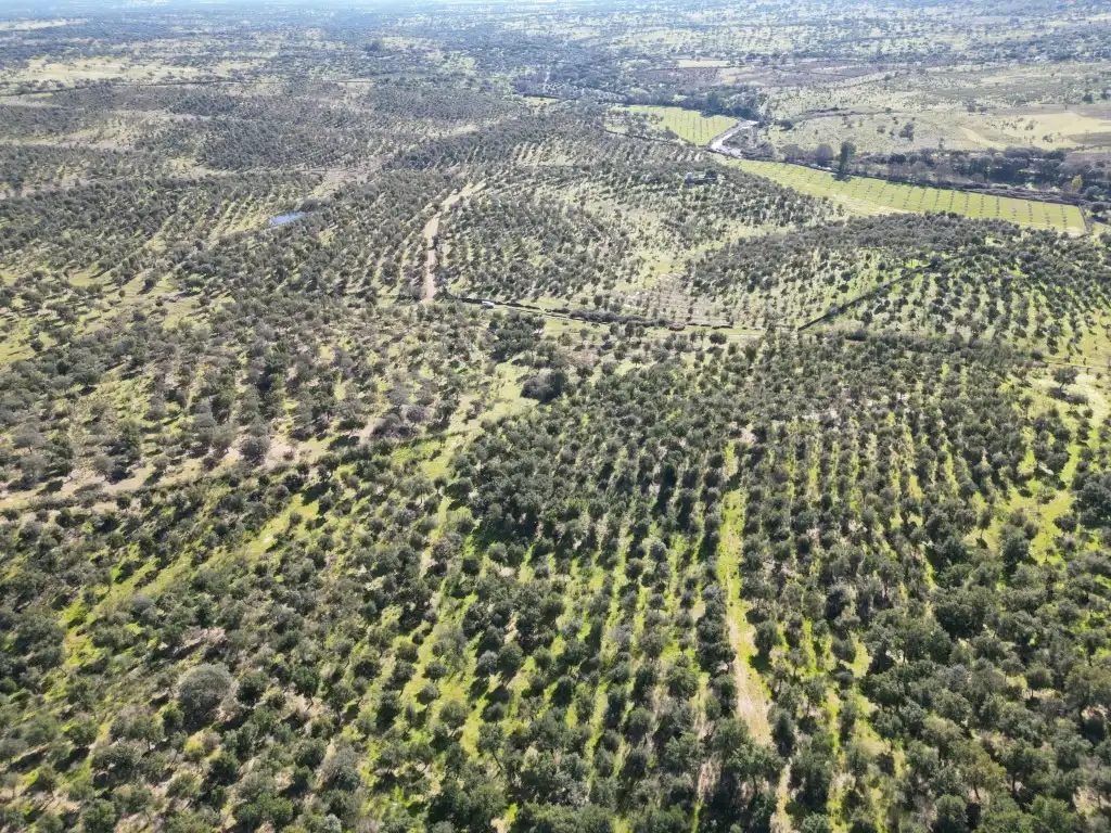 Terreni e lotti in vendita a Poligono 63 Parcela, imagen 3