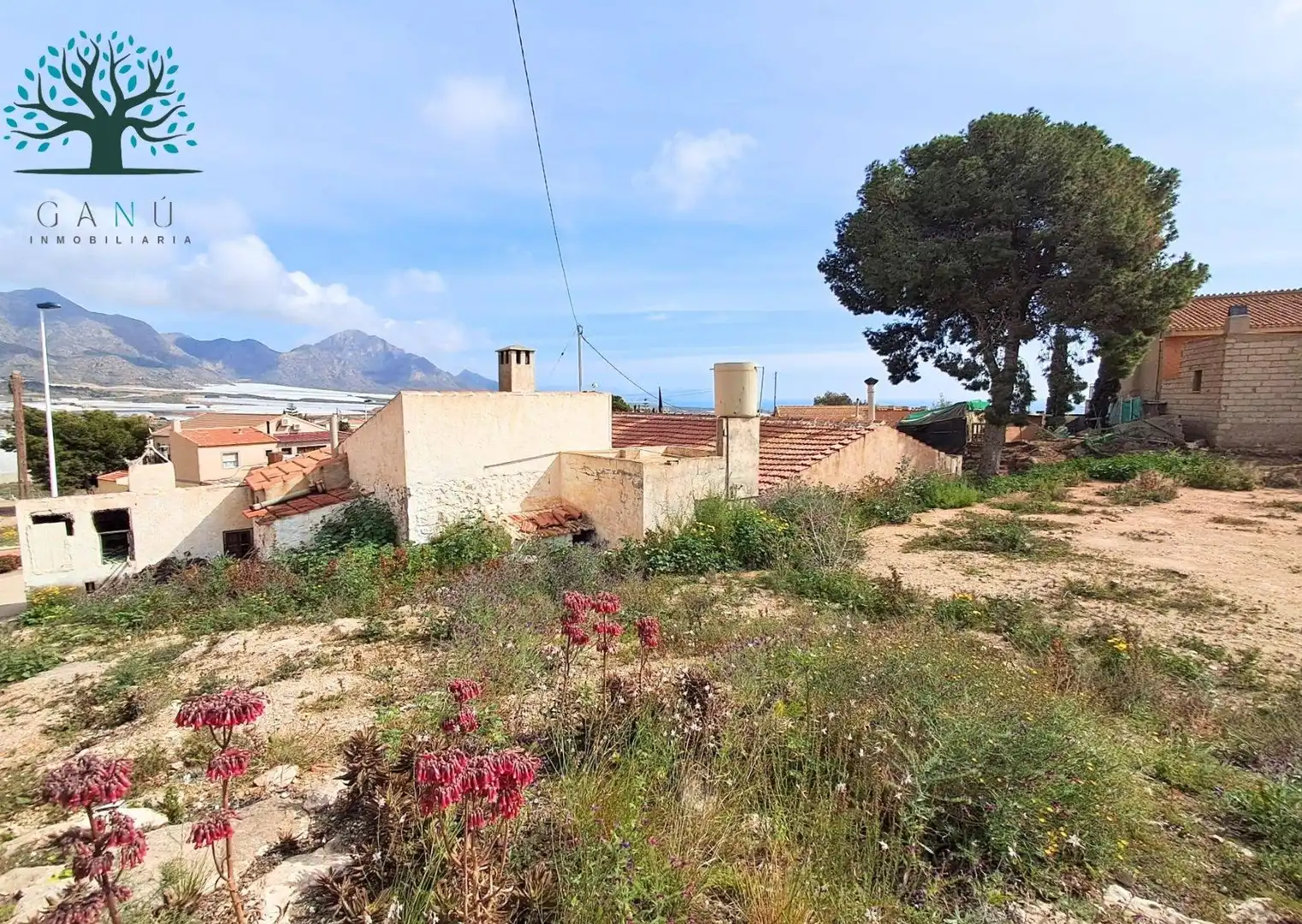 Vista exterior de Casa o xalet en venda en Mazarrón amb Jardí privat, Traster i Moblat