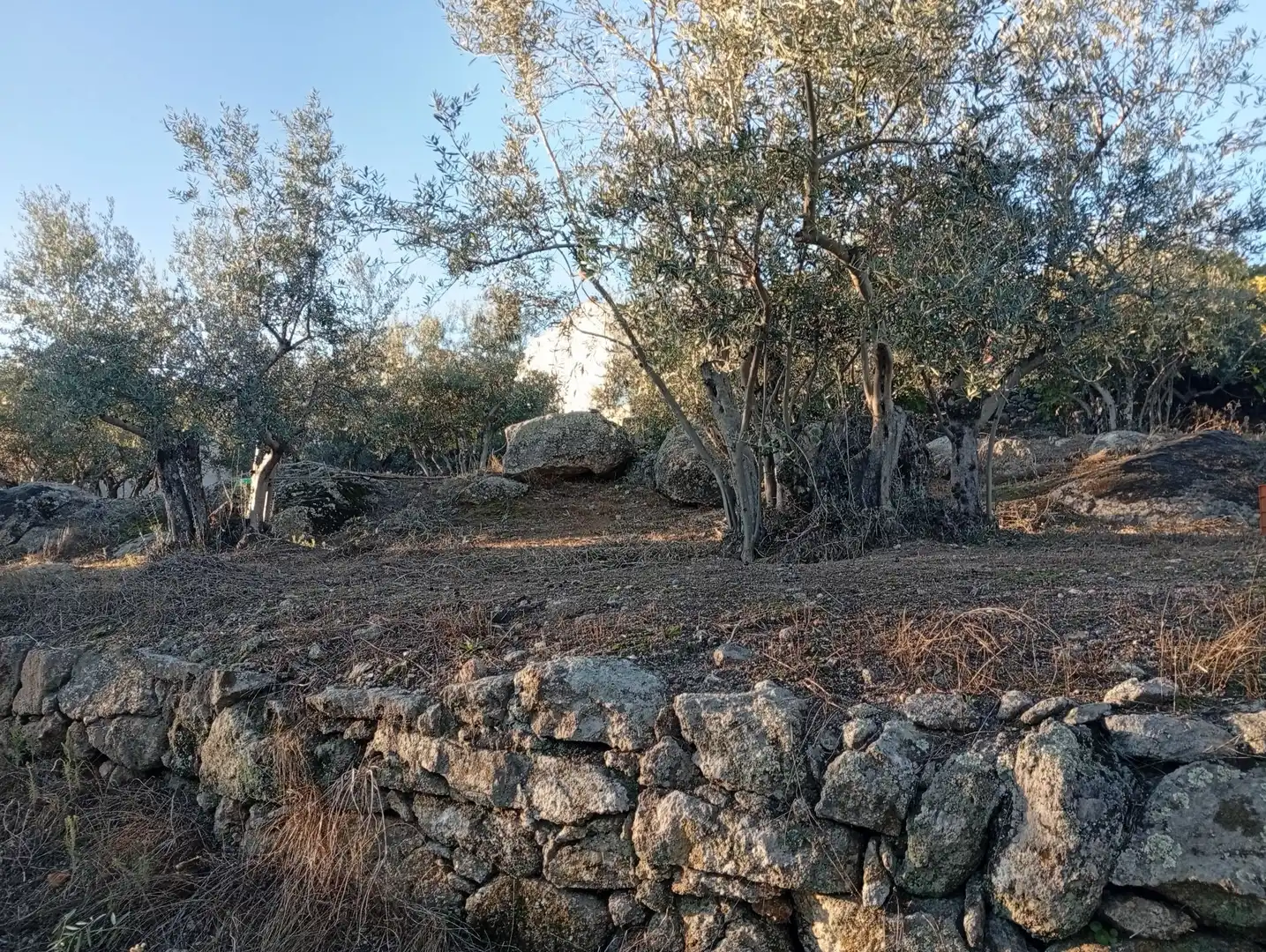 Terreni e lotti in vendita a Villanueva de la Vera, imagen 5