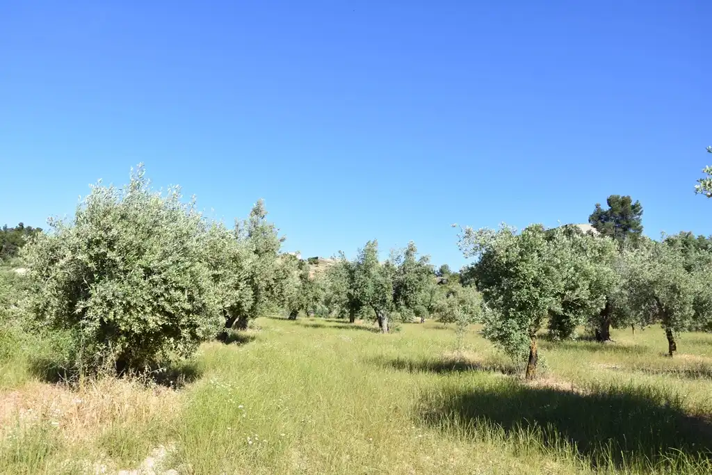 Terreni e lotti in vendita a Cretas, imagen 3