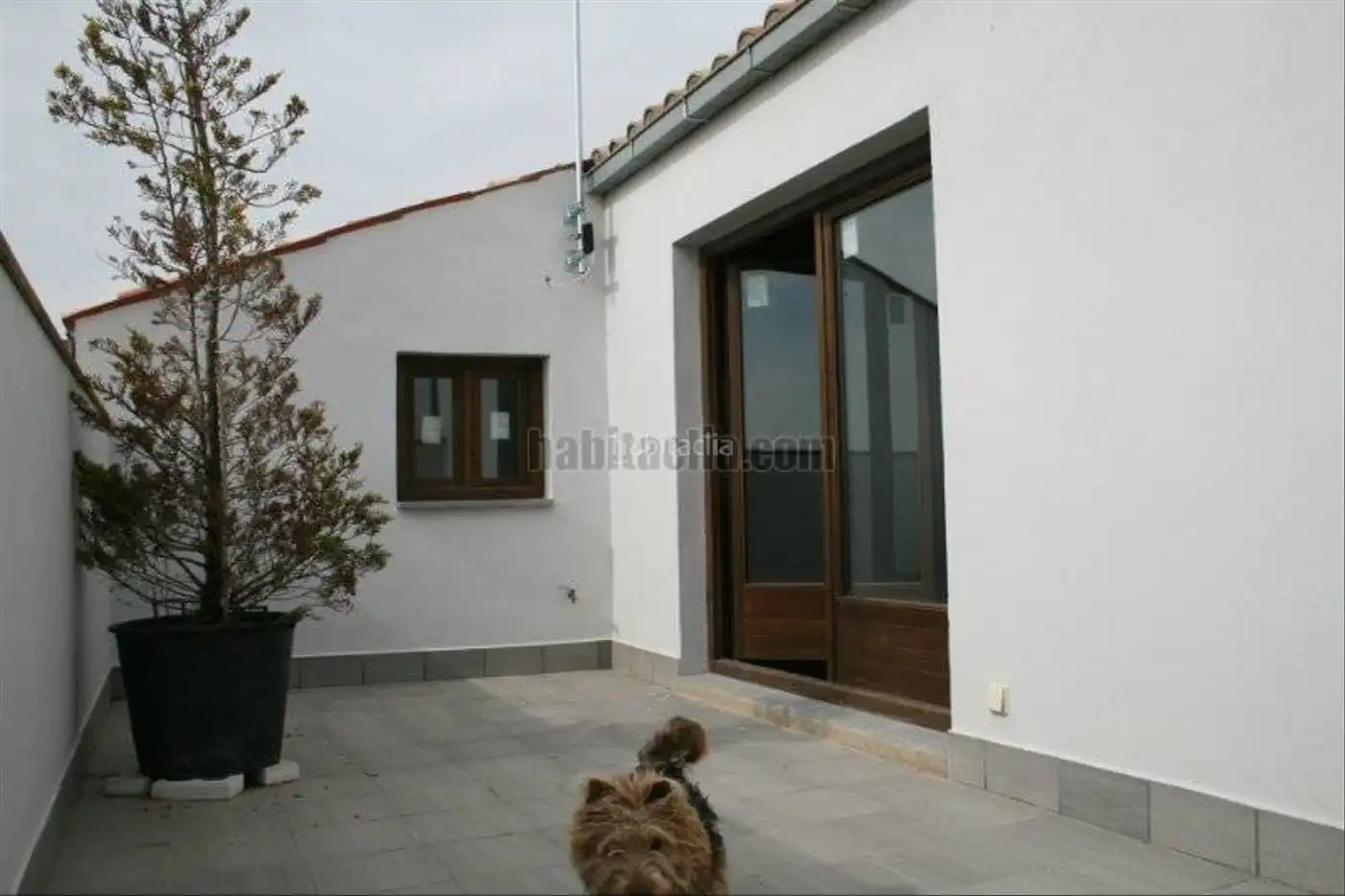 Haus mit Garten zum Verkauf in Carrer de Dalt 1, imagen 21