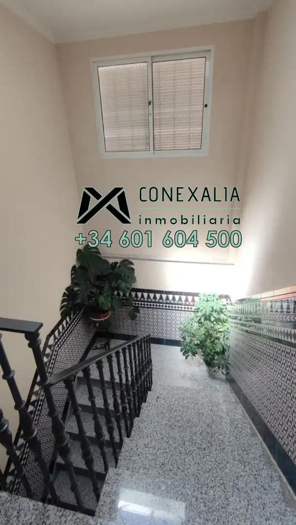 Appartement avec terrasse à vendre à Olvera, imagen 18