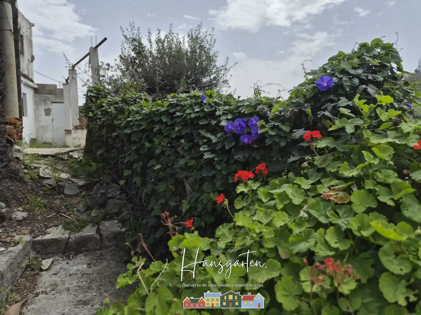 Garden of Houses for sale in Teror  with Private garden