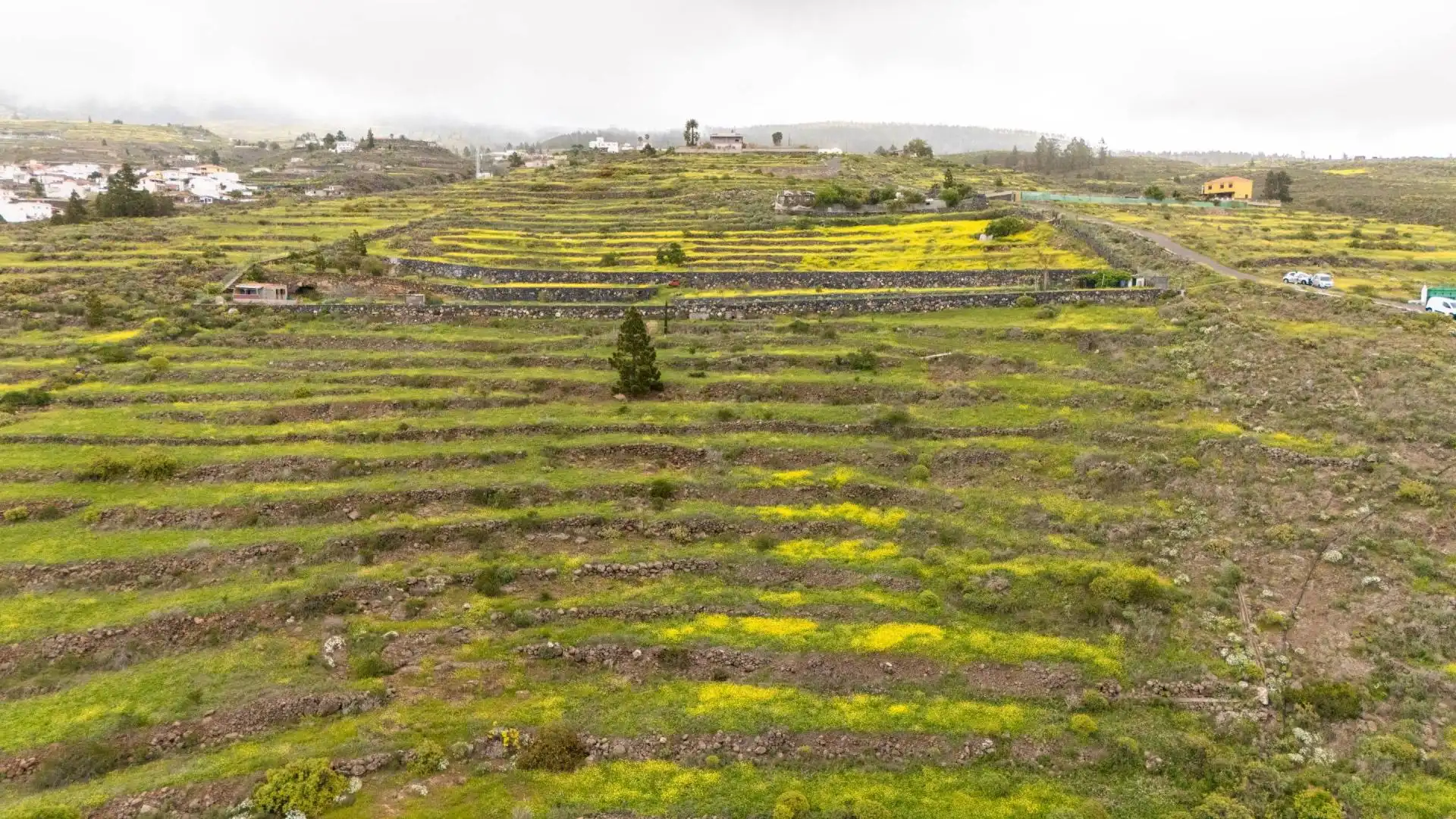 Terreno rustico in vendita a Casco Urbano, imagen 14