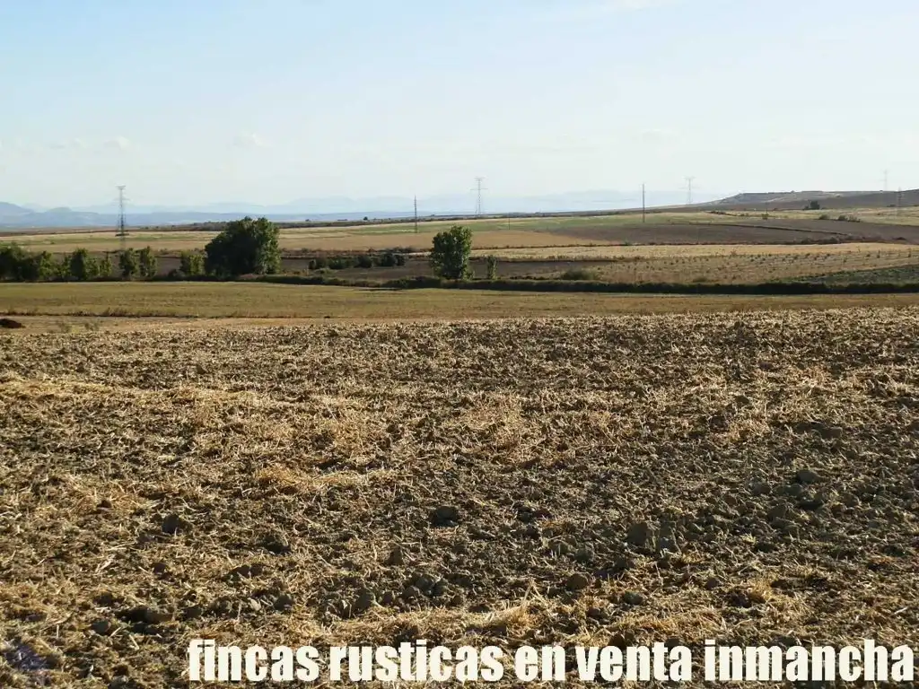 Terreni e lotti in vendita a Bargas, imagen 11