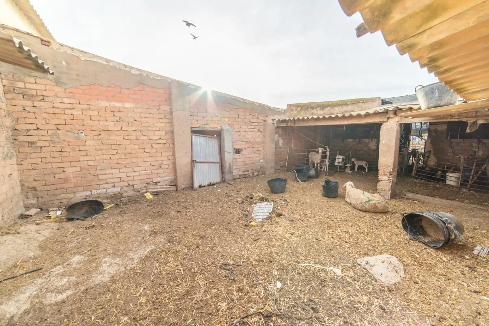 Casa o xalet en venda en Torre-Pacheco amb Terrassa, Traster i Moblat