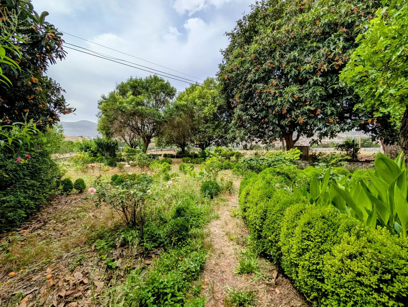 Casa o xalet en venda en Loja amb Aire condicionat, Calefacció i Jardí privat